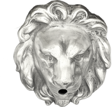 brave lion head metal water spout- Aluminum