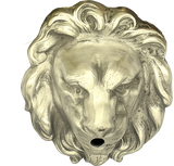 brave lion head metal water spout- Yellow Brass